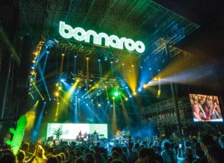 bonnaroo festival