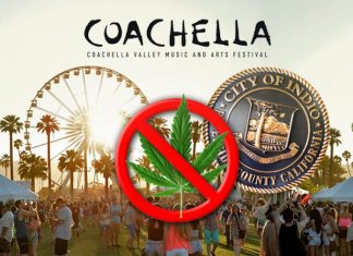 coachella marijuana