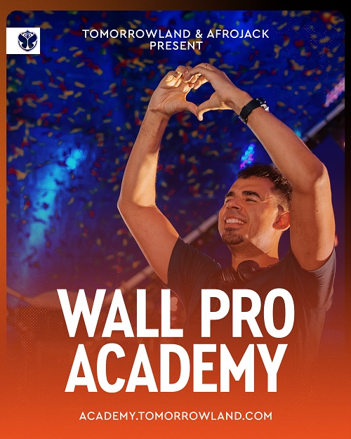 Wall Pro Academy